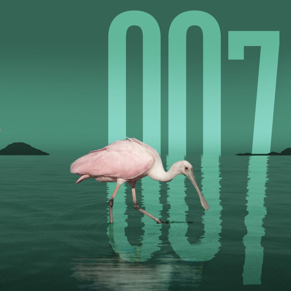 The Complete James Bond eBook Collection - By Ian Fleming